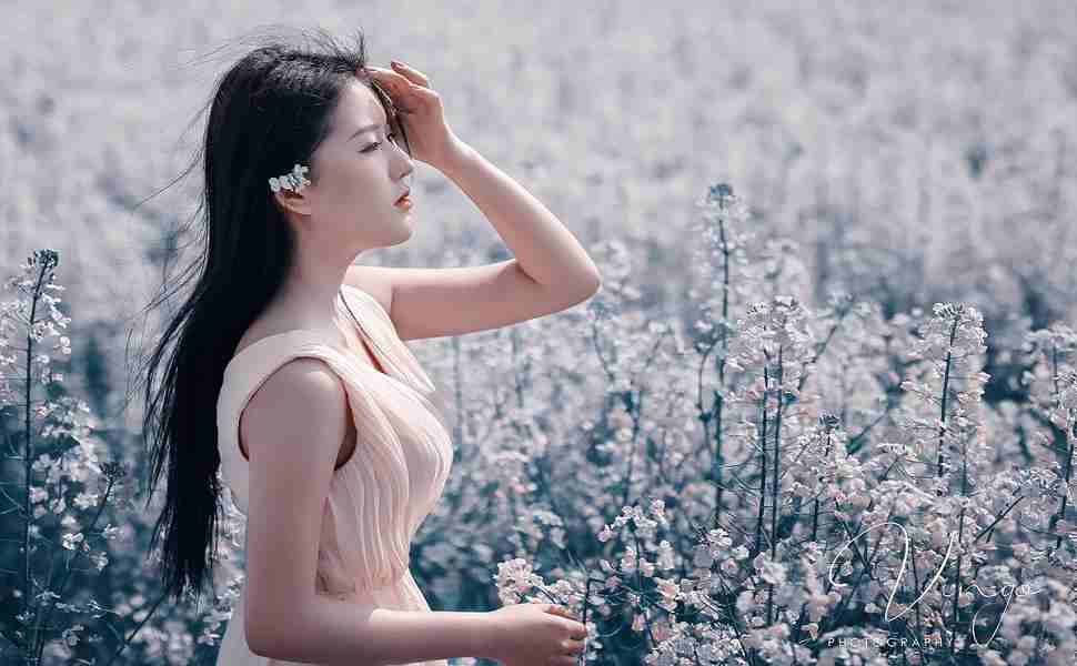 地域关键词站群